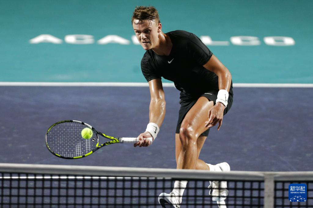 泰山在有效 泰山在有效