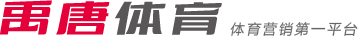 交流和友谊